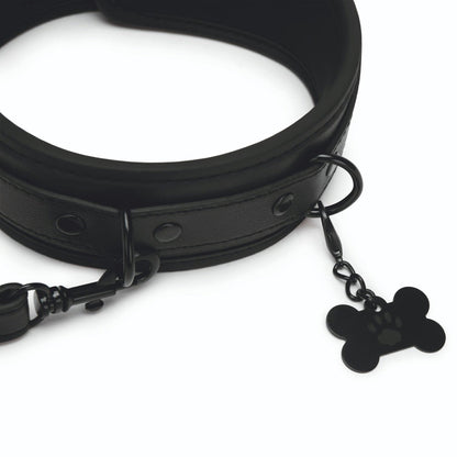 PROWLER RED - COLLAR AND LEASH