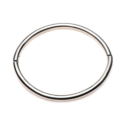 XR BRANDS - MASTER SERIES POSSESSION STAINLESS LOCKING COLLAR