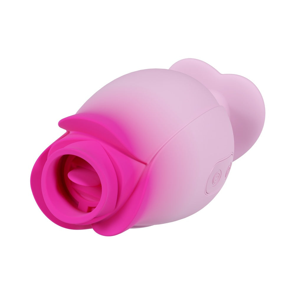 BLUSH - ARIA TULIP TRANCE PINK