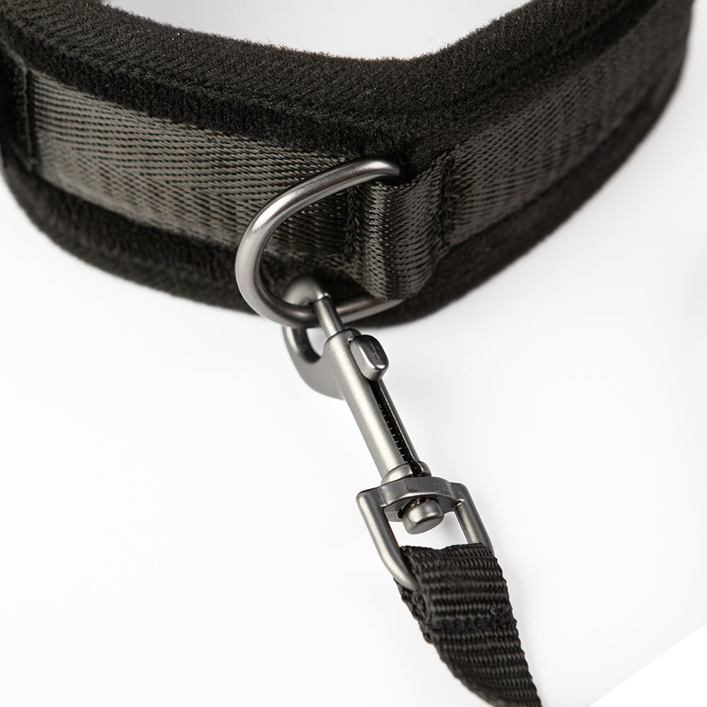 CREATIVE CONCEPTIONS - SEI MIO TAKE THE LEAD PADDED NECK COLLAR AND LEASH