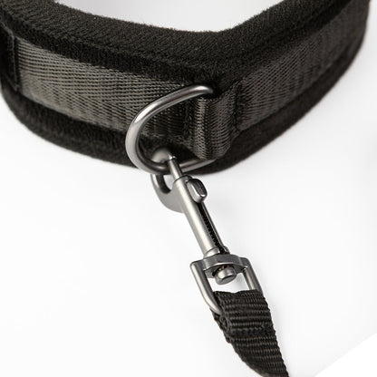 CREATIVE CONCEPTIONS - SEI MIO TAKE THE LEAD PADDED NECK COLLAR AND LEASH