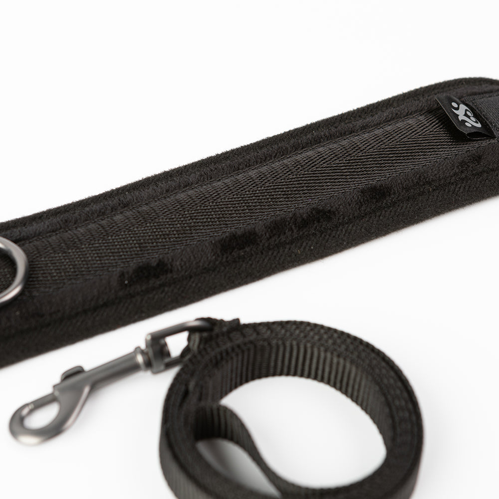 CREATIVE CONCEPTIONS - SEI MIO TAKE THE LEAD PADDED NECK COLLAR AND LEASH
