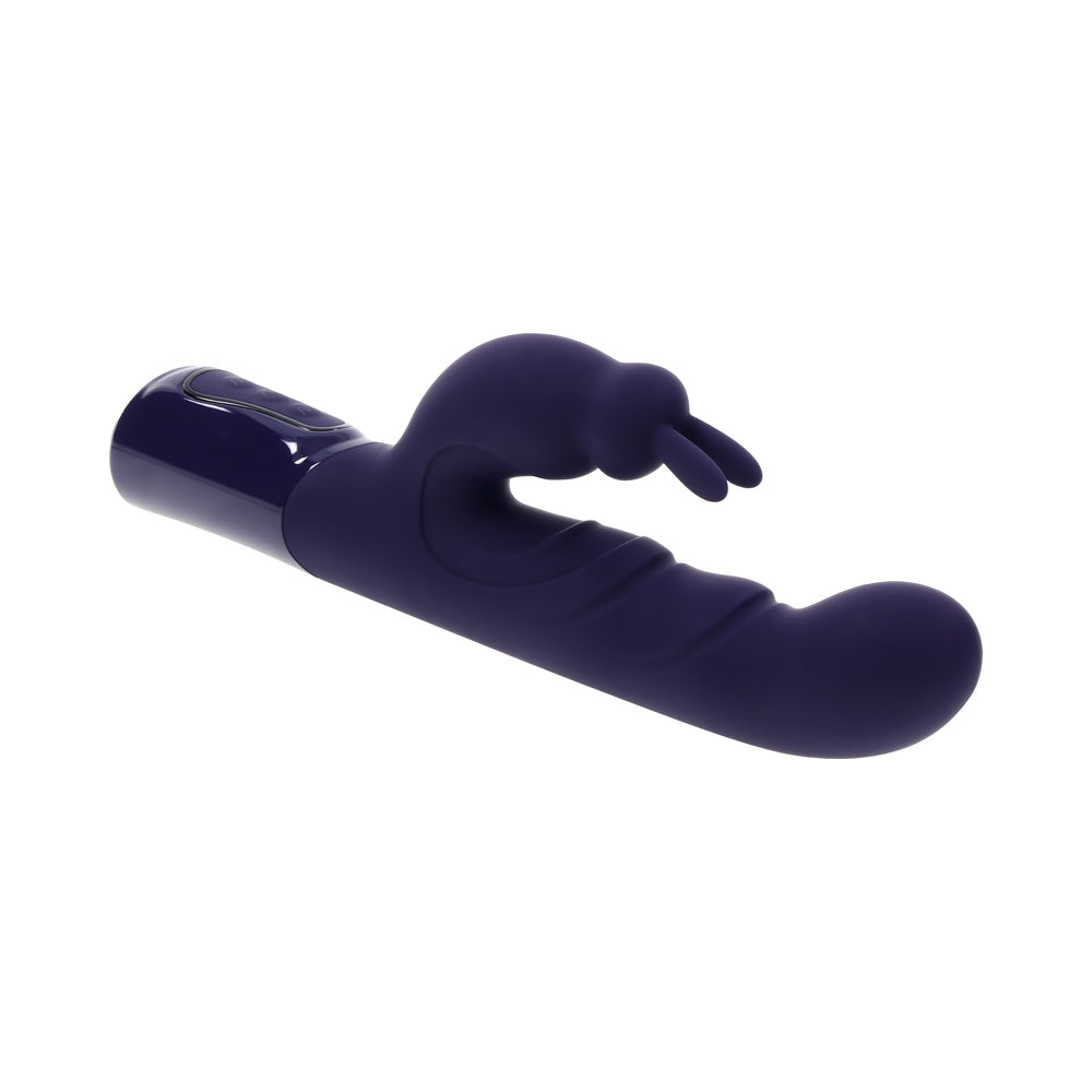 EVOLVED - BIG DEAL PURPLE