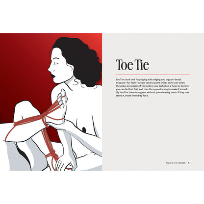 HACHETTE - THE BONDAGE PLAYBOOK: 31 MUST-KNOW KNOTS AND TIES FOR BONDAGE BEGINNERS