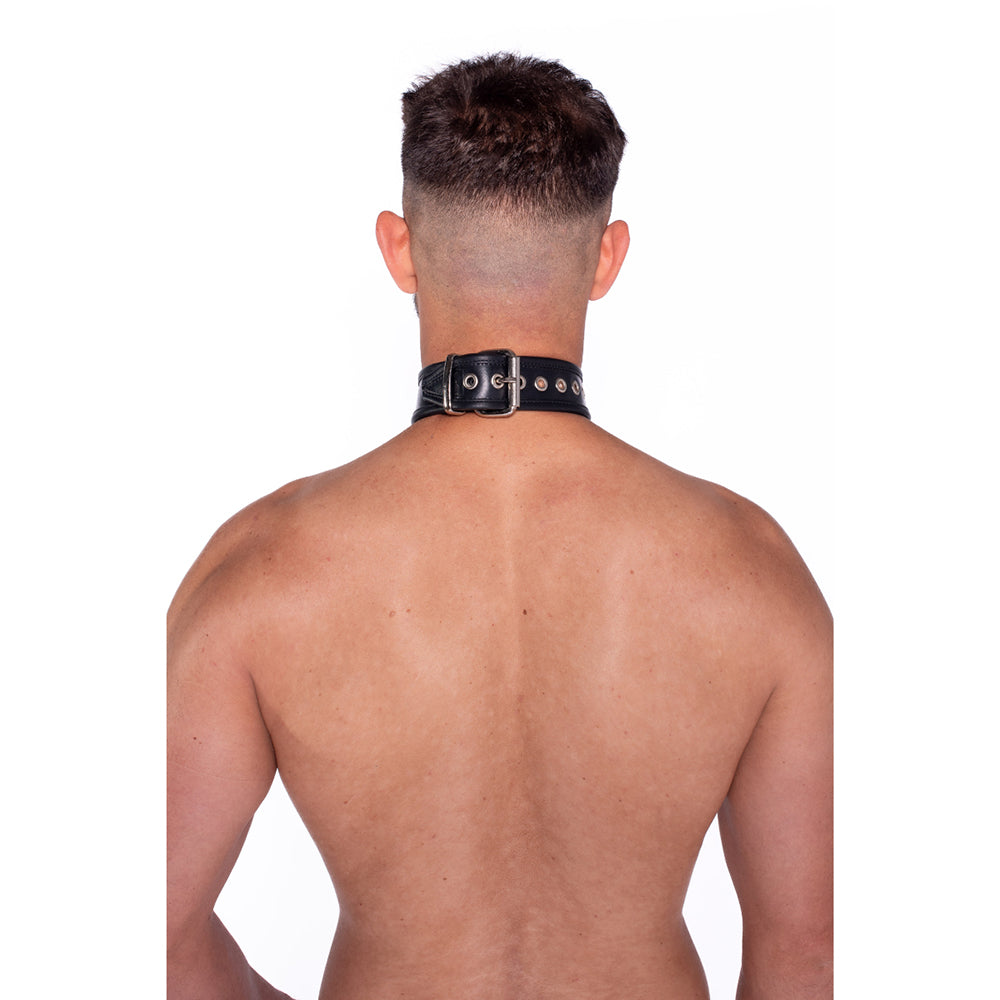 PROWLER RED - LEATHER COLLAR WITH STRAP