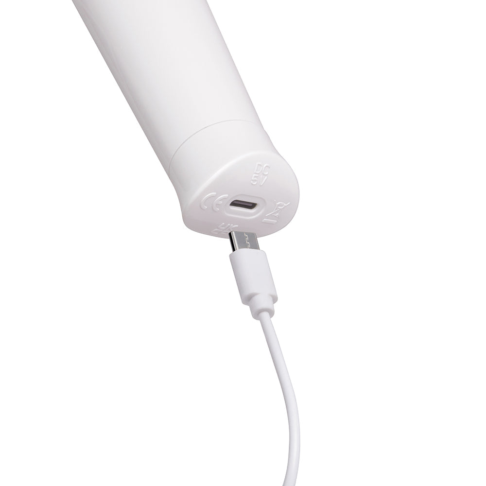 LE WAND - CLASSIQUE PETITE WAND MASSAGER