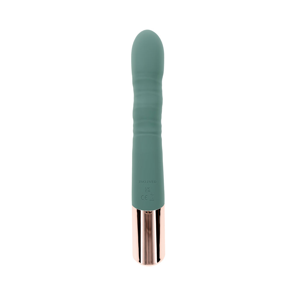 EVOLVED - THE SHIMMY MINT