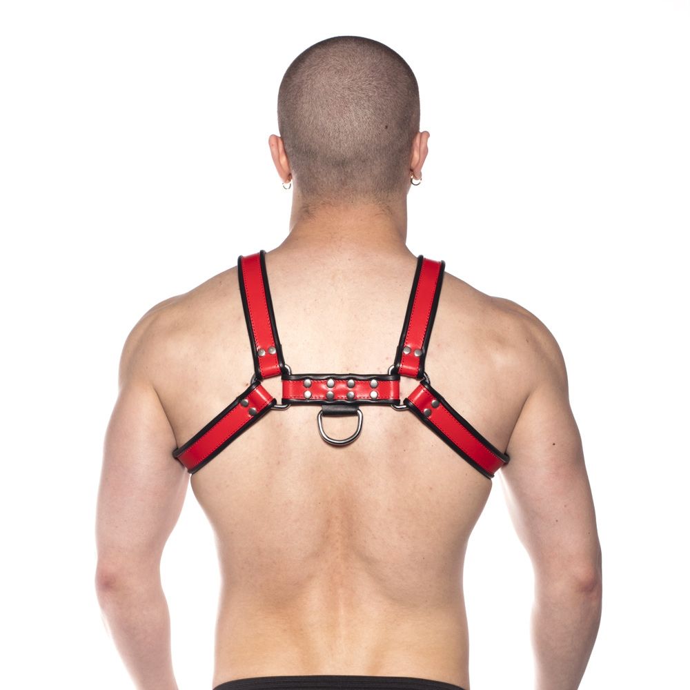 PROWLER RED - BULL HARNESS