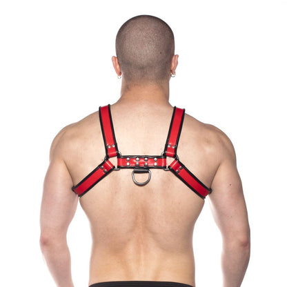 PROWLER RED - BULL HARNESS
