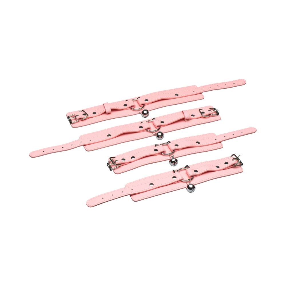 XR BRANDS - MASTER SERIES KITTY BONDAGE SET