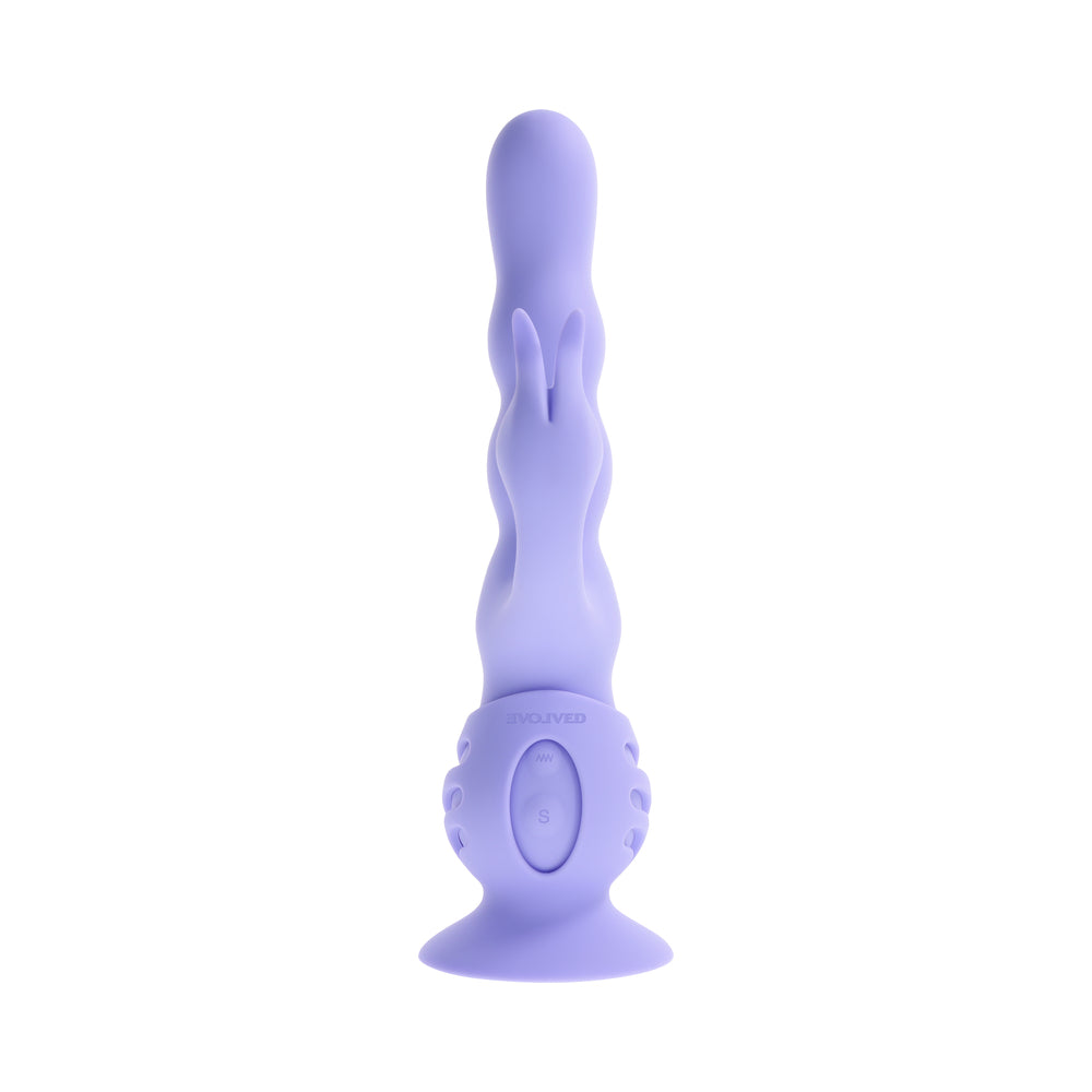 EVOLVED - WIGGLY BUNNY PURPLE
