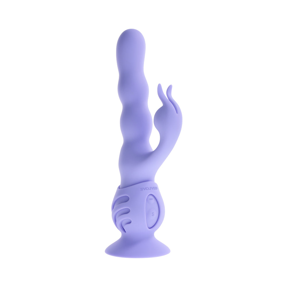 EVOLVED - WIGGLY BUNNY PURPLE