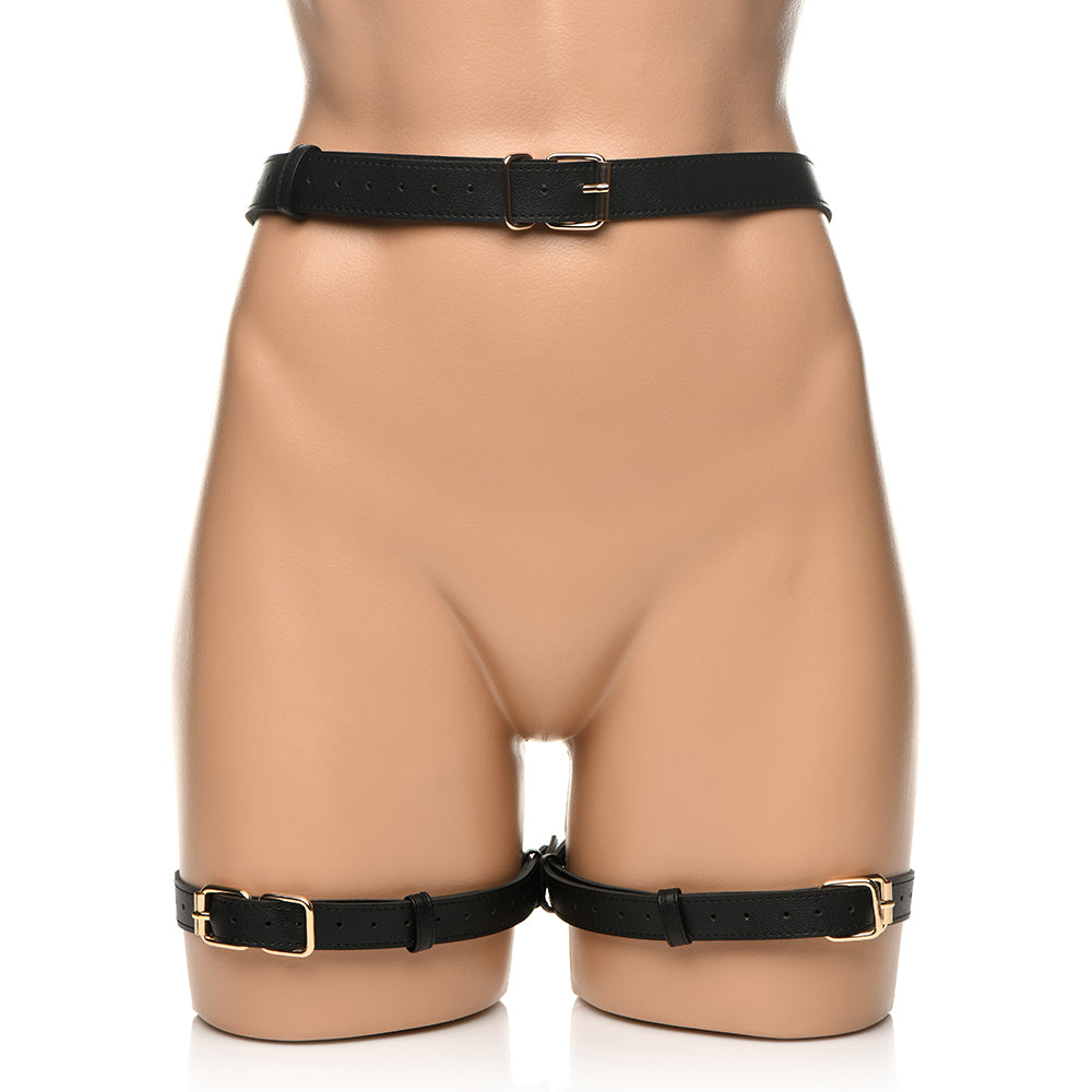 XR BRANDS - ARNÊS DE BONDAGE RIGOROSO COM LAÇOS 2XL