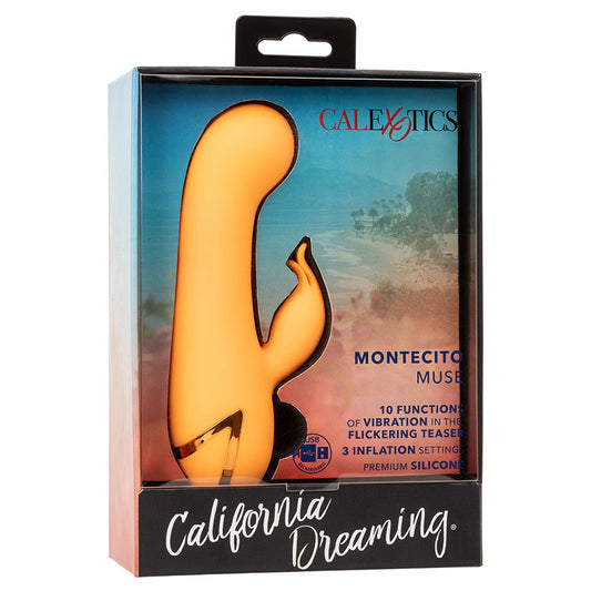 CAL EXOTICS - CALIFORNIA DREAMING MONTECITO MUSE