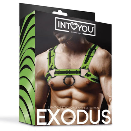 INTOYOU SHINING LINE - ARNÉS BONDAGE PARA PECHO QUE BRILLA EN LA OSCURIDAD