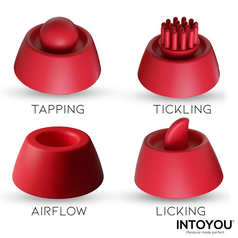 INTOYOU - BEENY ESTIMULADOR CON 4 CABEZALES, SUCCIÓN, TAPPING, TICKLING Y LICKING