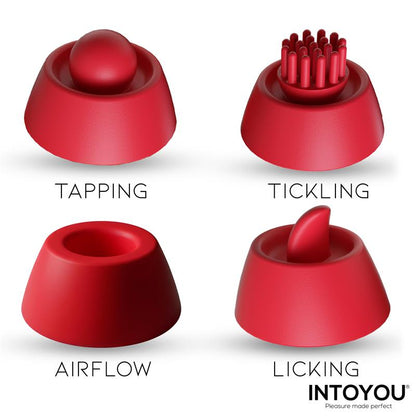 INTOYOU - BEENY ESTIMULADOR CON 4 CABEZALES, SUCCIÓN, TAPPING, TICKLING Y LICKING