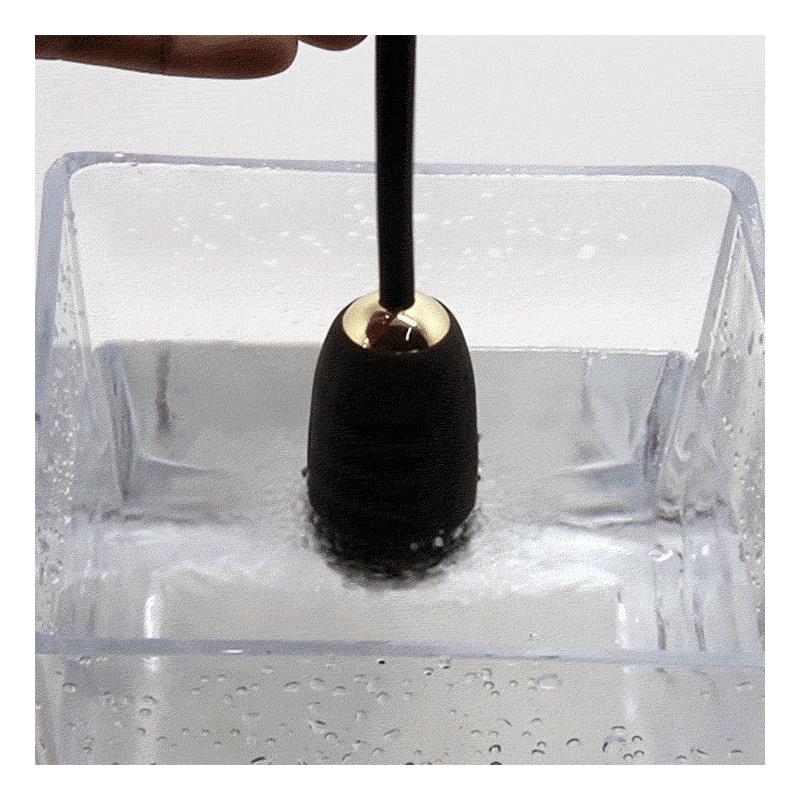 PRETTYLOVE - BOLA KEGEL CON CONTROL REMOTO ROYAL PLEASURE