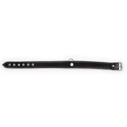 LATETOBED BDSM LINE - COLLAR CON ARO NEGRO