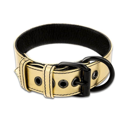 LOVETOY - COLLAR CON CORREA BONDAGE DORADO