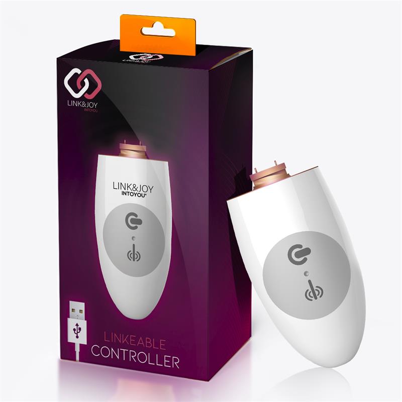 LINK&JOY - CONTROLLER USB