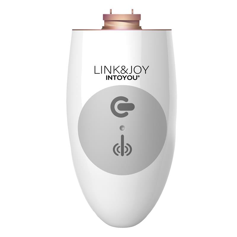 LINK&JOY - CONTROLLER USB