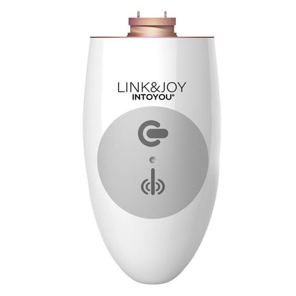 LINK&JOY - CONTROLLER USB
