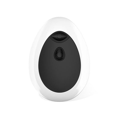 LATETOBED - DWEN ESTIMULADOR PROSTÁTICO USB CON CONTROL REMOTO