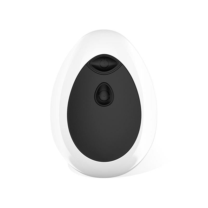 LATETOBED - DWEN ESTIMULADOR PROSTÁTICO USB CON CONTROL REMOTO