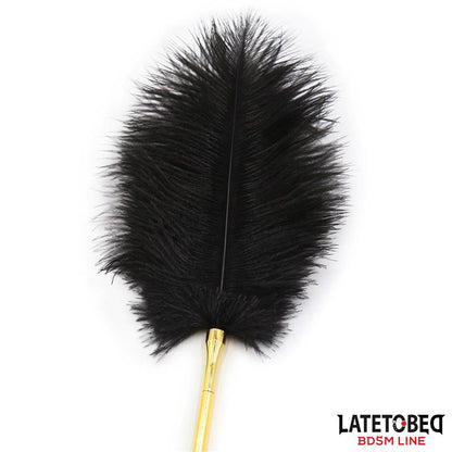 LATETOBED BDSM LINE - ESTIMULADOR DE PLUMAS 41 CM