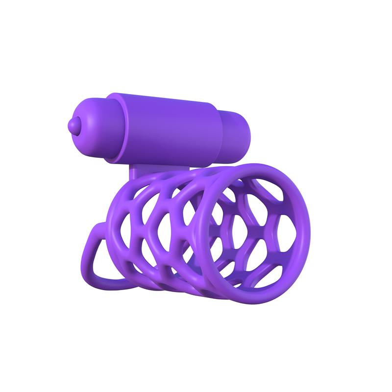FANTASY C-RINGZ - FANTASY C-RINGZ ANILLO VIBRADOR JAULA PARA PAREJAS PÚRPURA
