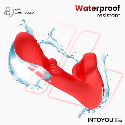 INTOYOU APP SERIES - FRANKY VIBRADOR CON BITING Y BOLA ROTATIVA CON APP