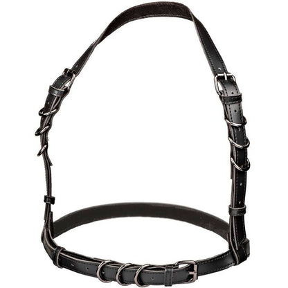 CALEXOTICS - EUPHORIA HATLER HARNESS WITH BUCKLE, LARGE SIZE, BLACK