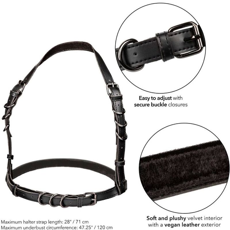 CALEXOTICS - EUPHORIA HATLER HARNESS WITH BUCKLE, LARGE SIZE, BLACK