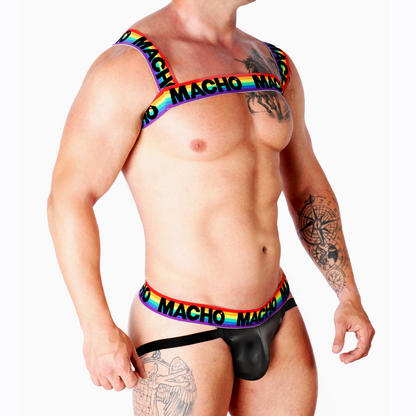 MALE - DOUBLE HARNESS PRIDE LIMITED