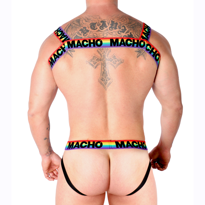 MALE - DOUBLE HARNESS PRIDE LIMITED