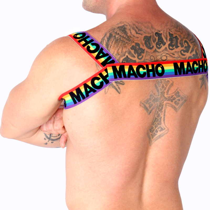 MALE - DOUBLE HARNESS PRIDE LIMITED