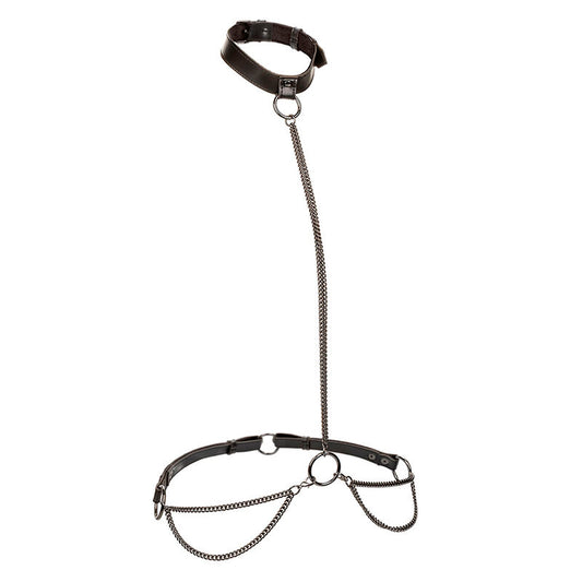 CALEXOTICS - EUPHORIA HALTER COLLAR AND CHAIN ​​STRAP