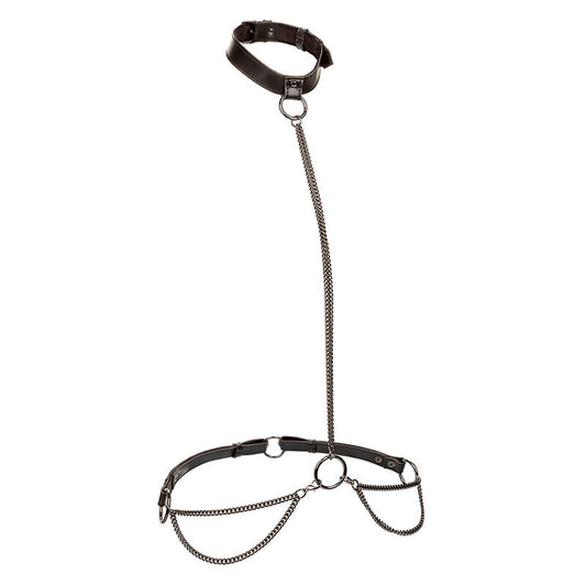 CALEXOTICS - EUPHORIA HALTER COLLAR AND CHAIN ​​STRAP PLUS SIZE