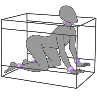 SECRET DOME - KINK CLUB LA NICHE CABINA  MORADO