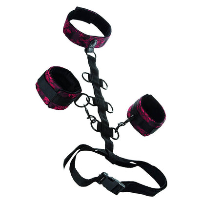 CALEXOTICS - SCANDAL COMPREHENSIVE COLLAR SUPPORT