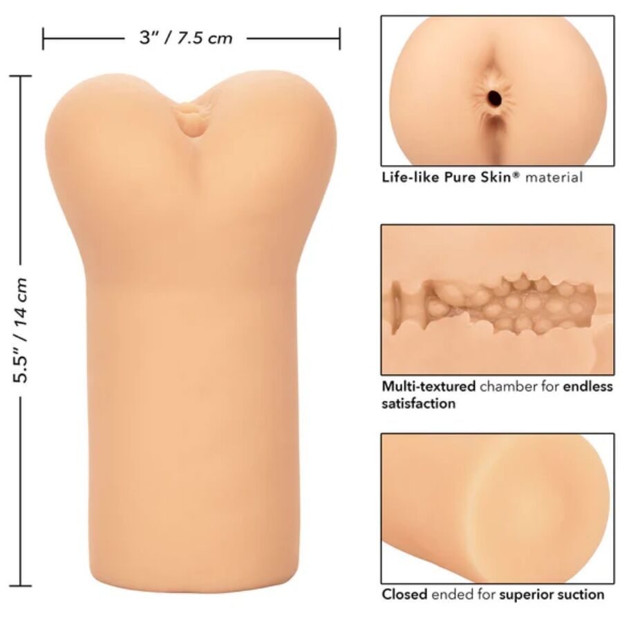 CALEXOTICS - BOUNDLESS ANO