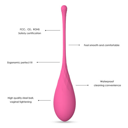LESLIE - KEGEL FIT PELVIC FLOOR DELIVERY 6 PESOS