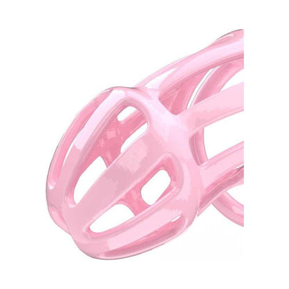 PENIS CAGES - JAULA PARA EL PENE PC02