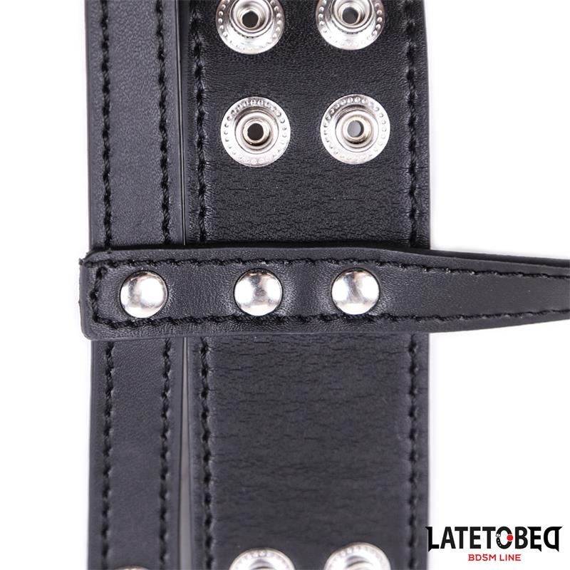 LATETOBED BDSM LINE - JAULA PENE TALLA ÚNICA