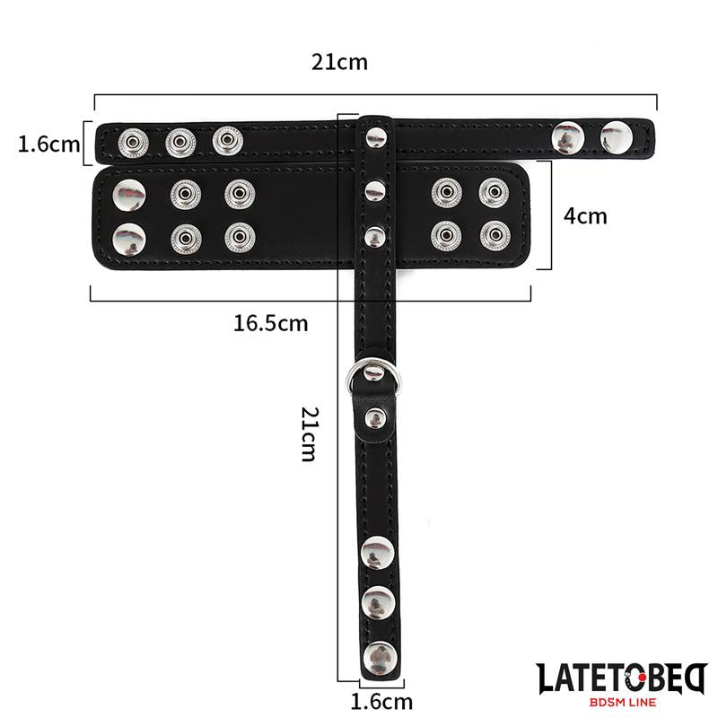 LATETOBED BDSM LINE - JAULA PENE TALLA ÚNICA