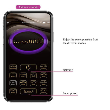 PRETTYLOVE - LIAM VIBRADOR PUNTO G SILICONA  CON APP MORADO