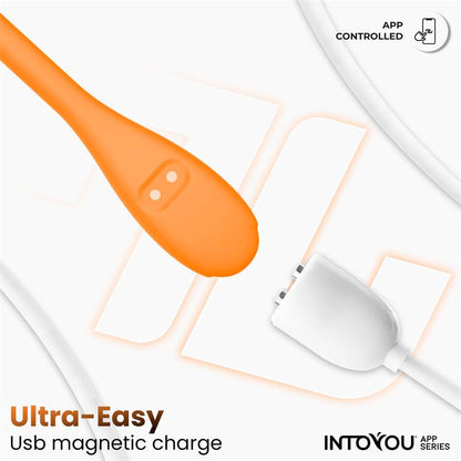 INTOYOU APP SERIES - LOGAN HUEVO VIBRADOR CON APP SILICONA UNIBODY NARANJA