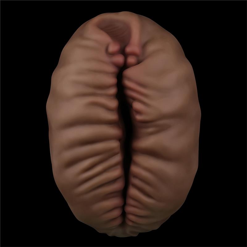LOVETOY - MASTURBADOR ALIENS PIE 2