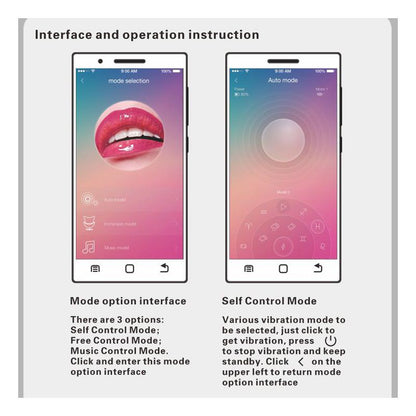 PRETTYLOVE - NYMPH HUEVO VIBRADOR CON APP MOVIL